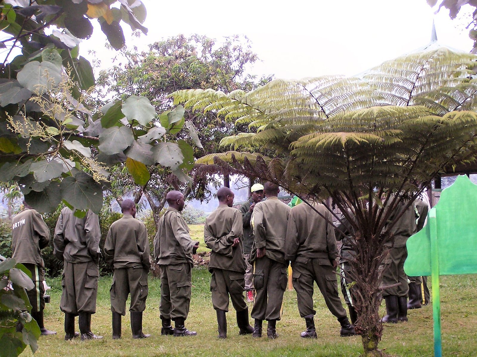 Trekkers and guides gathering before a mountain wildlife walk
