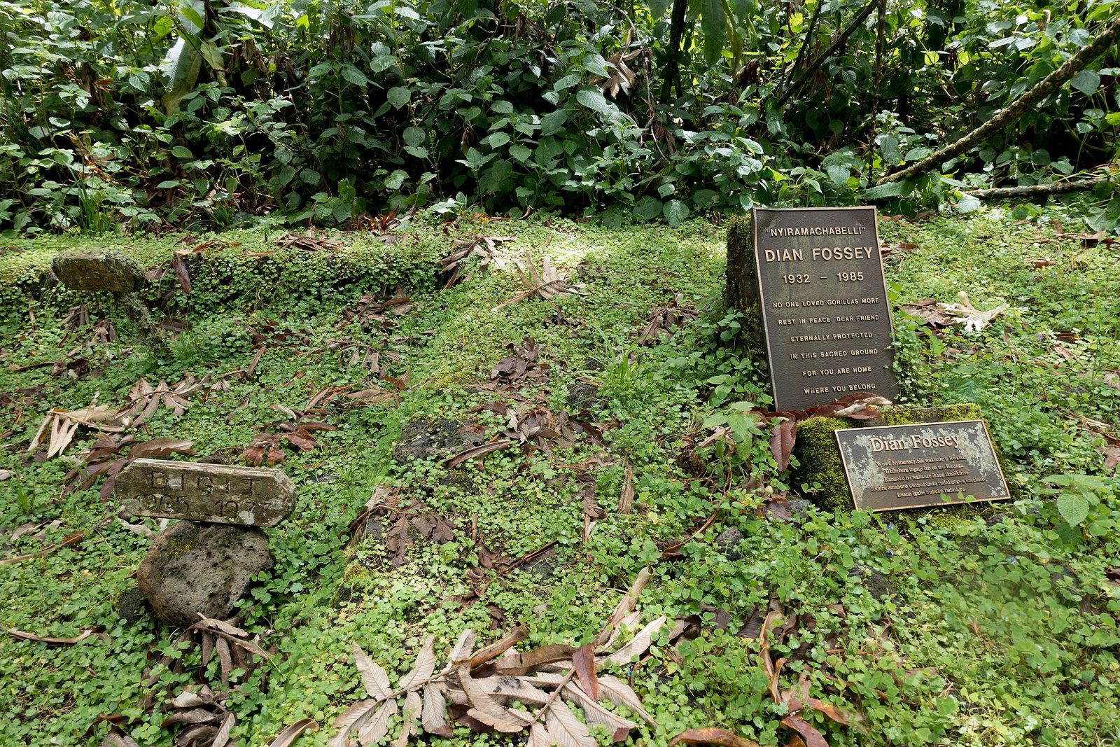 Dian Fossey memorial site in misty mountain forest